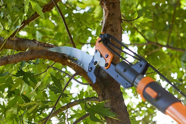 Pruning and Trimming Services