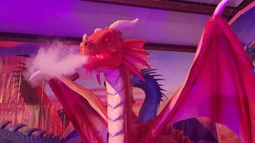 Dragons