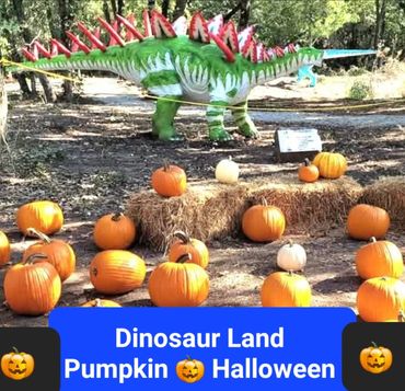 Pumpkin Halloween all October