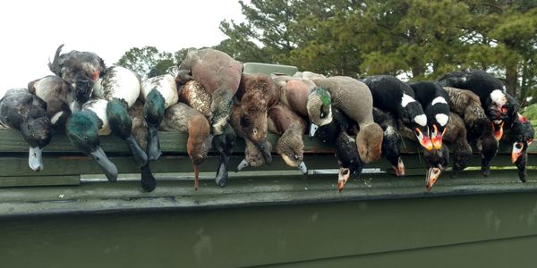 Duck hunting, Chesapeake Bay Virginia, Fourth Generation Outfitters