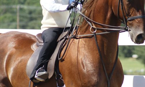 Determination helps to get where you want