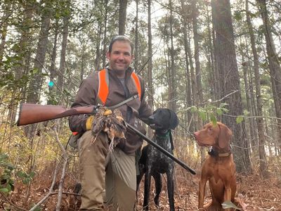 Hunter with two dogs and a shotgun in a forest.