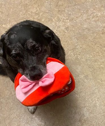 Redington wishing everyone a happy Valentine’s Day