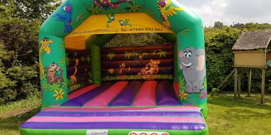 Adult Jungle Bouncy Castle Hire Plymouth