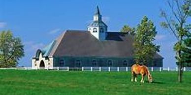 Beautiful Horses Keenland racing and long highway drives through horse farm country. 