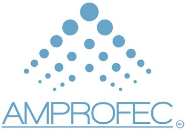 Como empresa profesional de la industria, pertenecemos al selecto grupo socios AMPROFEC.