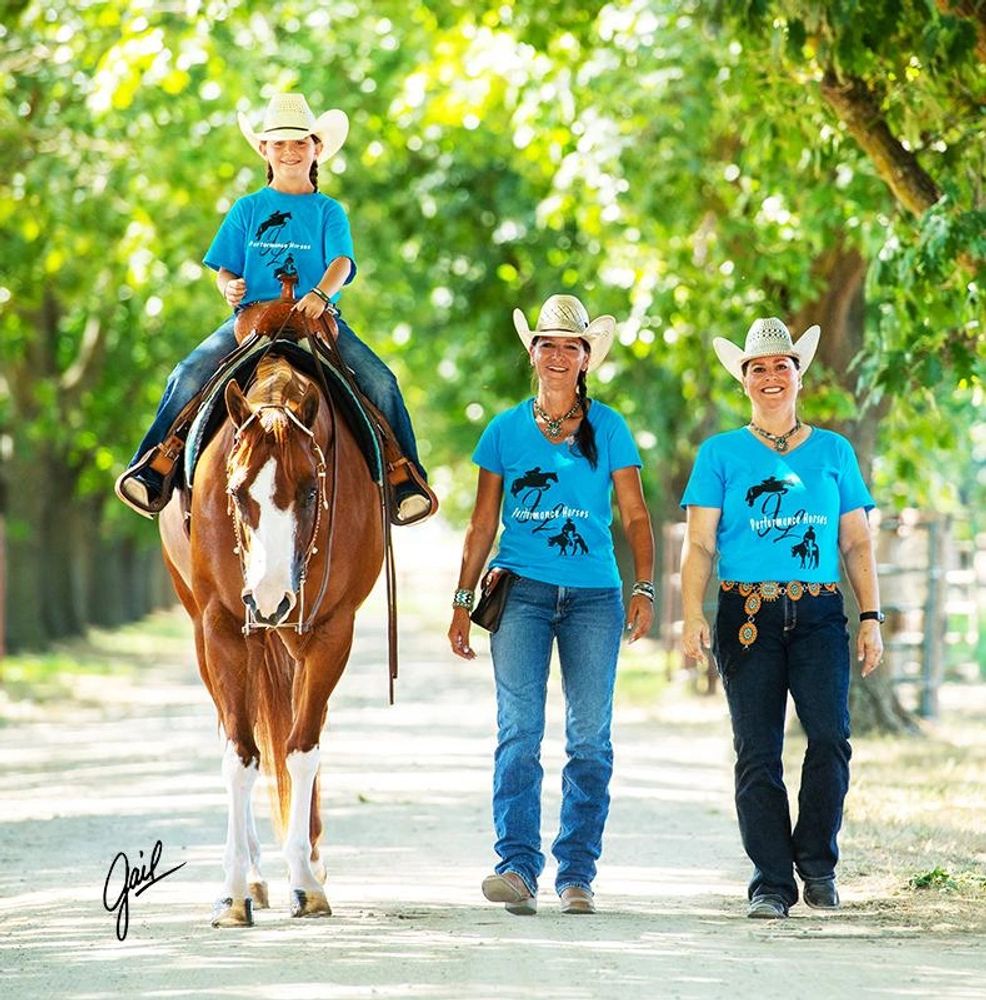 JL Performance Horses, horseback riding lessons