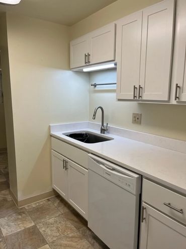 Dishwasher with granite countertops.
