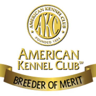 Sussex Spaniel AKC Breeder of Merit, English Springer Spaniel AKC Breeder of Merit
