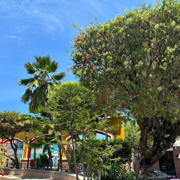 Plaza de Recreo in Rincón, Boriken, showing abundant green infrastructure.