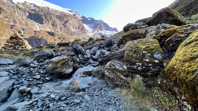 Rob Roy Glacier Track, Mount Aspiring National Park, Otago, New Zealand