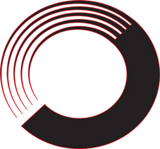 Roll With It dumpster rental logo