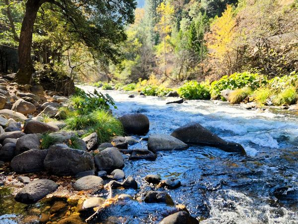 Upper Sacramento River in Dunsmuir, CA