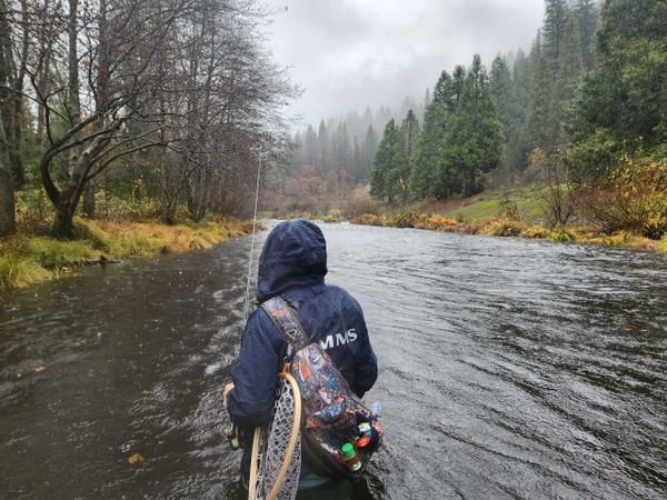 Fly fishing on Upper Sacramento River on a cloudy fall day
