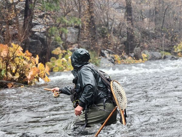 Fly fishing on Upper Sacramento River on a fall day