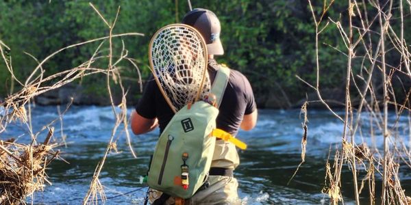 Fly fishing on Upper Sacramento River in Dunsmuir, CA