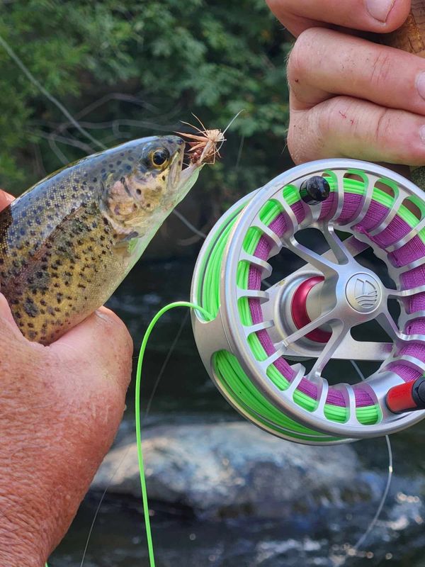 Fly fishing on Upper Sacramento