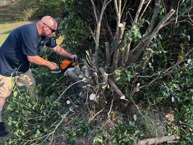 Man using chainsaw to cut thick tree branches in a garden.