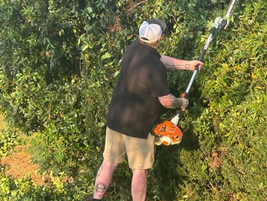 Man trimming dense green bushes with a pole hedge trimmer.
