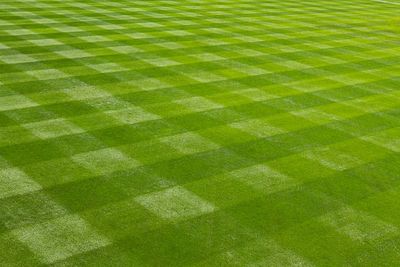 A green lawn with a checkered mowing pattern.