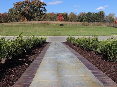 Stone walkway bordered by shrubs leading to a road with trees in the background.