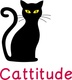 Andrea Carne - Cat Behaviour Consultant