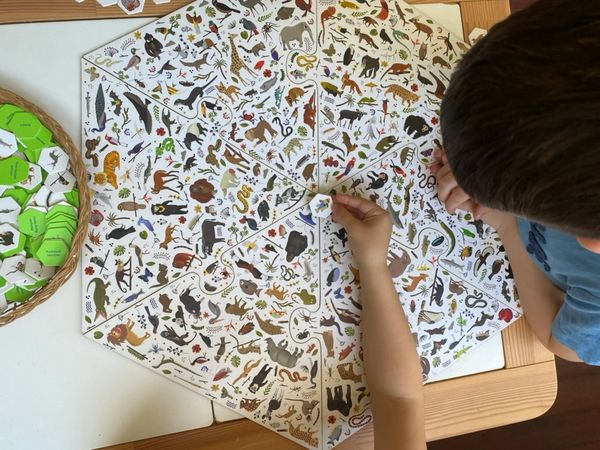 Holistic and developmentally appropriate numeracy skills developed in our school readiness program.