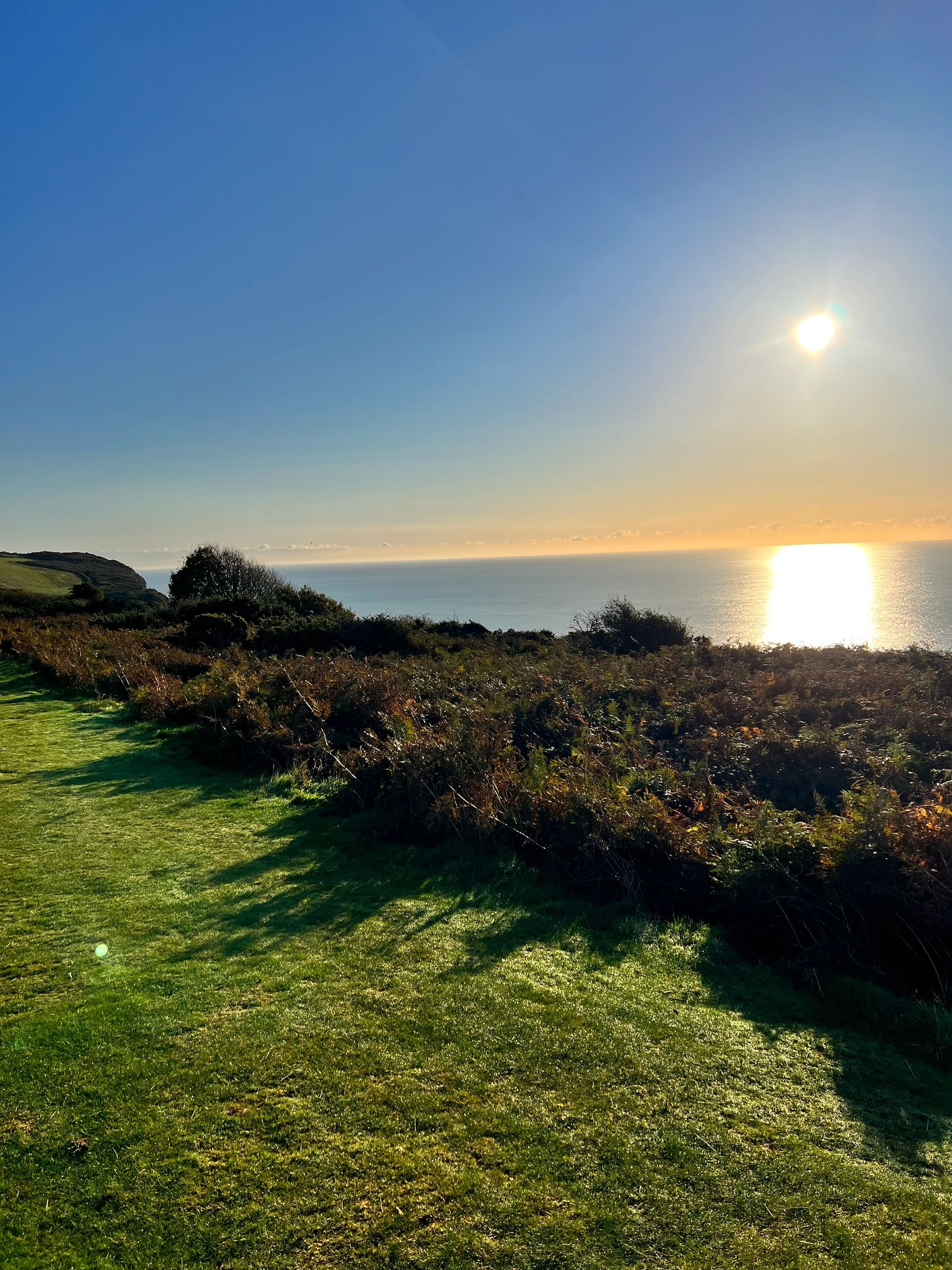 Sunny coastal landscape with green grass and ocean view.