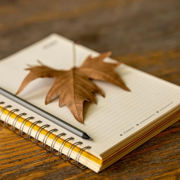 A journal open at a blank page with an autumn leaf sitting on it