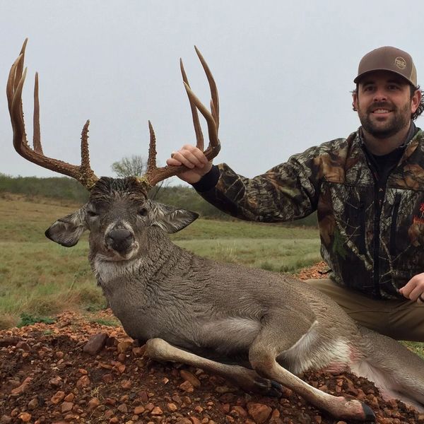 Image of harvested buck in south Texas.
