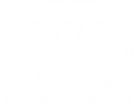 Diamond Executive Car Service 