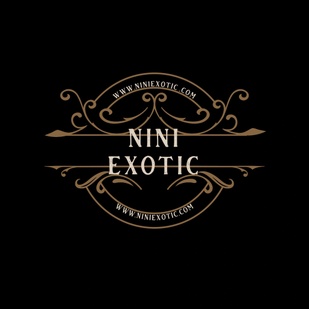 Nini's Exotic Materials and fossil collection