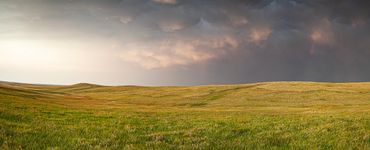 Badlands, SD Prairie grass 