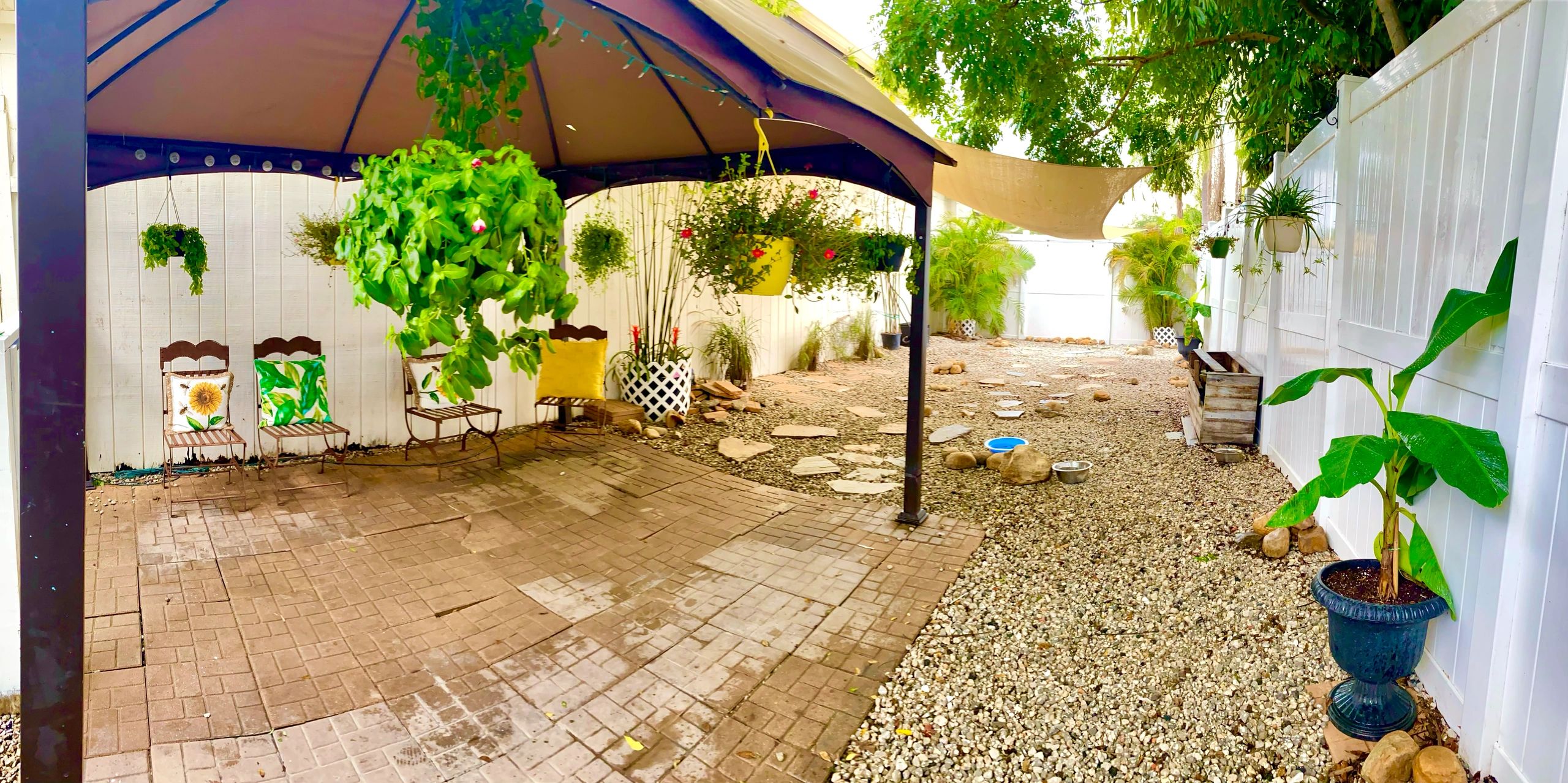 Club Hollywoof Doggie Daycare & Boarding