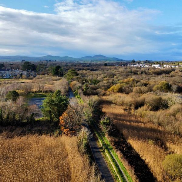 A road stretches through autumnal trees and fields towards distant mountains under a partly cloudy sky.