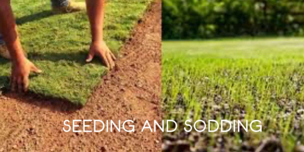 Hands laying sod on soil, next to young grass sprouts growing from seeded soil.