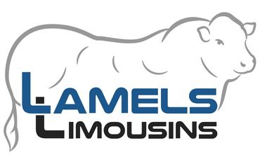 Logo Limousin cattle 'Lamels Limousins'. Lamels Limousins logo. Quality Limousins
Lamels Limousins
*
