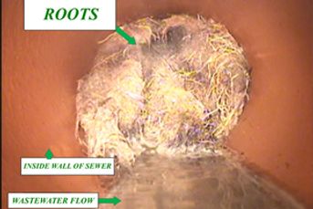 NW Sewer & Drain TV inspection & Locating