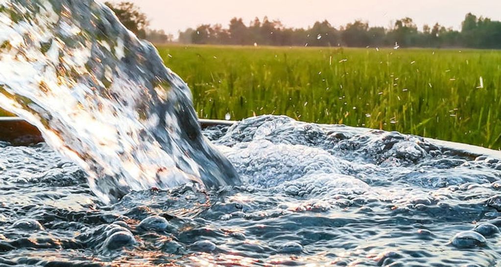 People That Drink Water in the Gila Valley by Danny Smith Graham County Board of Supervisors