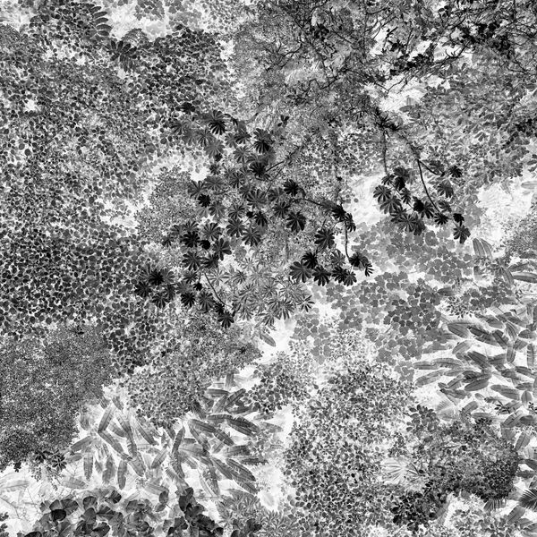 photograph on metal at art gallery 218 Milwaukee WI