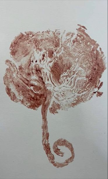 Placenta Encapsulation Savannah, Jacksonville, Charleston
https://placentaencapsulationsavannah.com