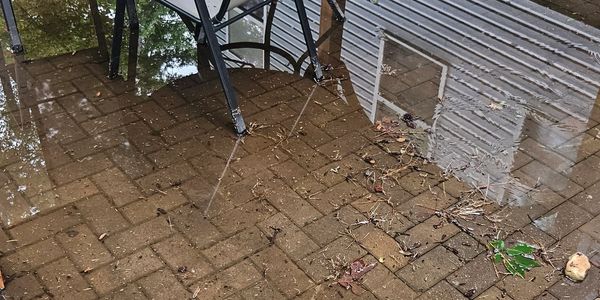 Standing Water