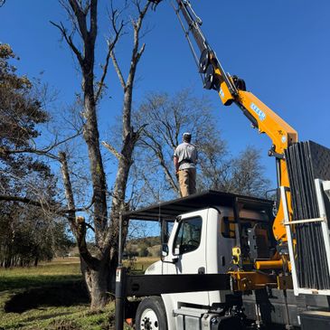 Worker standing on truck platform operating a crane to trim a tree.