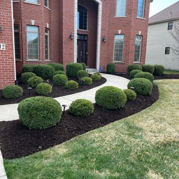 Neatly trimmed bushes line a curved walkway to a red brick house.
