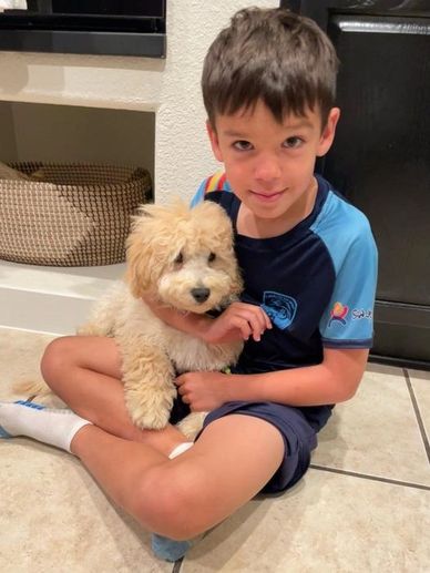 A little boy sitting on the floor holding his new Goldendoodle puppy.