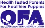 OFA (Orthopedic Foundation for Animals) Logo for health tested parents for healthier puppies. 