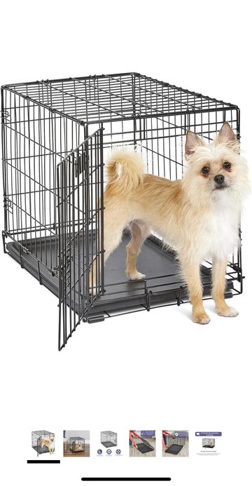 wire dog crate with training divider