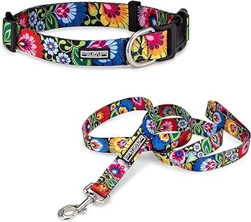 Colorful dog collar and leash set.