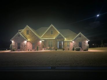 Professional commercial quality Christmas Lights