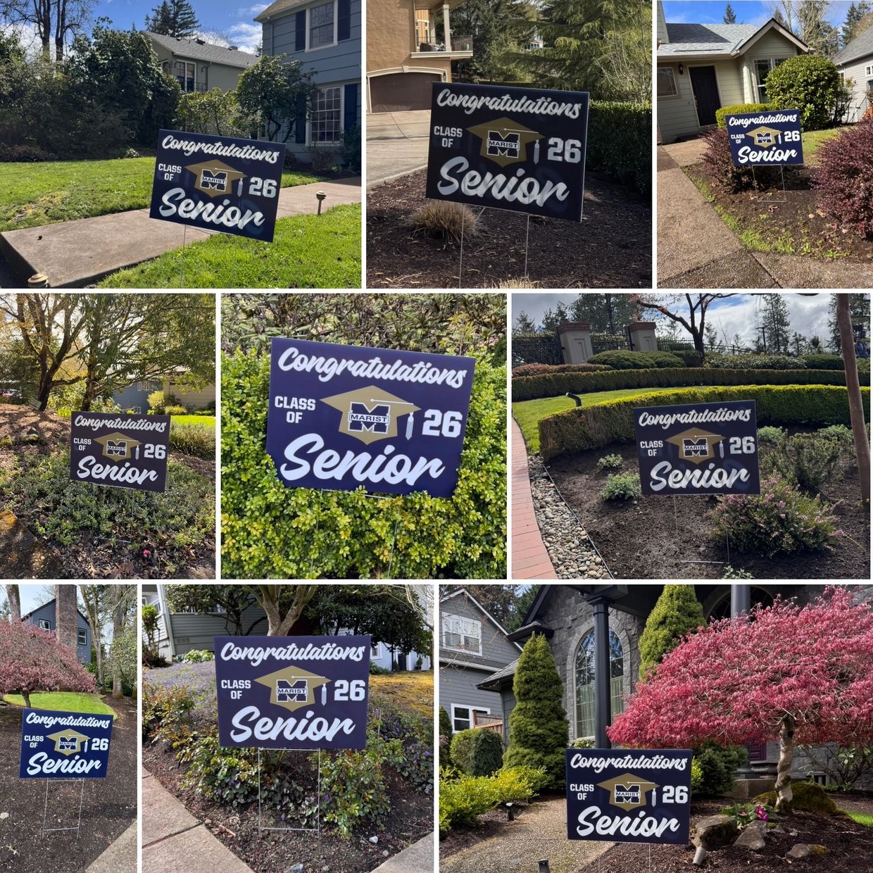 Multiple graduation signs for Marist Class of 2026 displayed in various yards.